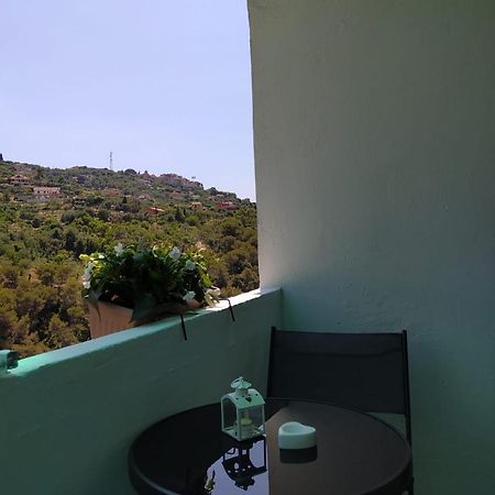 Apartament Ca' Isabella Vallebona Zewnętrze zdjęcie